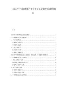 2025年中國鉬酸胺行業投資前景及策略咨詢研究報告