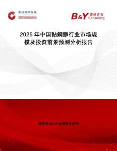 2025年中國黏鋼膠行業(yè)市場規(guī)模及投資前景預(yù)測分析報告