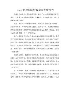 soho網(wǎng)絡(luò)創(chuàng)業(yè)經(jīng)我拿青春賭明天