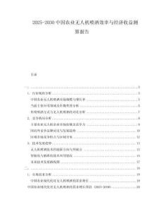2025-2030中國農業無人機噴灑效率與經濟收益測算報告