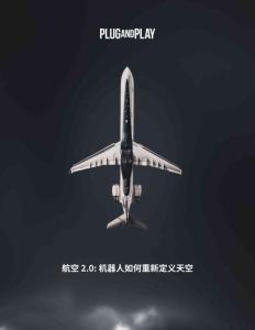 航空2.0：機(jī)器人如何重新定義天空-P&P