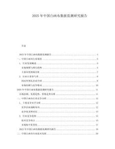 2025年中國白畫布數據監測研究報告