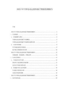 2025年中國電動定扭矩扳手數據監測報告