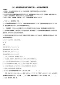 2025年云南省臨滄市高三模擬考試（一）語文試題（含解析）