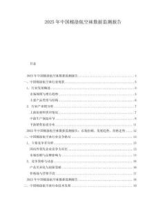 2025年中國棉滌航空襪數(shù)據(jù)監(jiān)測報告