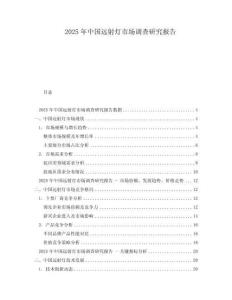 2025年中國遠射燈市場調查研究報告