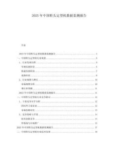 2025年中國(guó)鞋頭定型機(jī)數(shù)據(jù)監(jiān)測(cè)報(bào)告