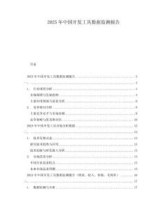 2025年中國開發工具數據監測報告