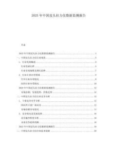 2025年中國皮頭拉力儀數據監測報告