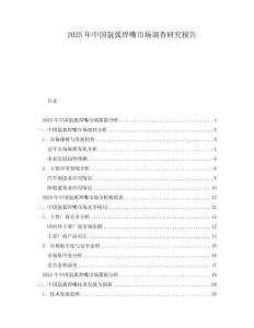 2025年中國(guó)氬弧焊嘴市場(chǎng)調(diào)查研究報(bào)告