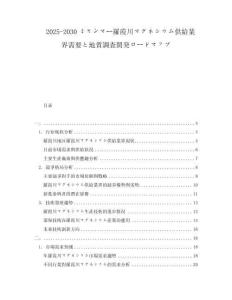 2025-2030ミャンマー羅霞川マグネシウム供給業界需要と地質調査開発ロードマップ