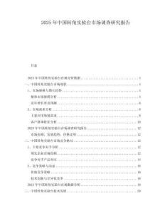2025年中國(guó)轉(zhuǎn)角實(shí)驗(yàn)臺(tái)市場(chǎng)調(diào)查研究報(bào)告