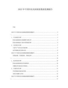2025年中國閃電雙面圓盤數(shù)據(jù)監(jiān)測報告