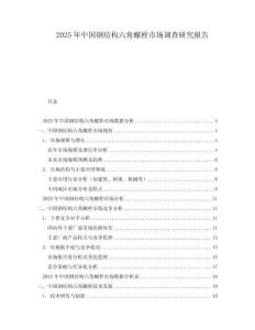 2025年中國鋼結(jié)構(gòu)六角螺栓市場調(diào)查研究報(bào)告