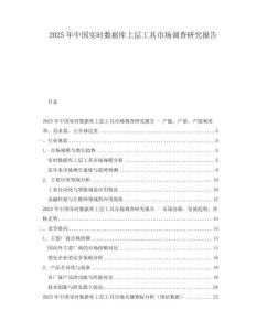 2025年中國實(shí)時(shí)數(shù)據(jù)庫上層工具市場調(diào)查研究報(bào)告