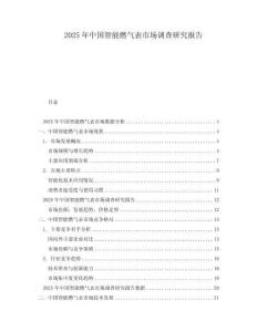 2025年中國智能燃?xì)獗硎袌稣{(diào)查研究報告