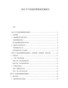 2025年中國迷彩帽數據監測報告