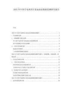 2025年中國手電兩用計(jì)量加油泵數(shù)據(jù)監(jiān)測研究報(bào)告