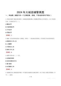 2024年大城縣輔警真題