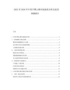 2025至2030年中國手攀云梯市場現狀分析及前景預測報告