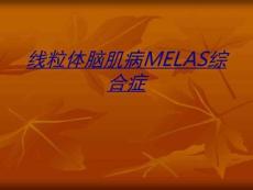 医学线粒体脑肌病MELAS综合症