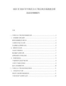 2025至2030年中國(guó)活力小子收音機(jī)市場(chǎng)現(xiàn)狀分析及前景預(yù)測(cè)報(bào)告