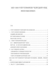 2025-2030中國半導(dǎo)體材料國產(chǎn)化替代進(jìn)程中的技術(shù)壁壘突破分析報告