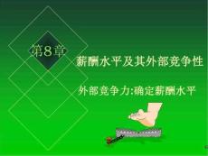 第8章外部競爭性