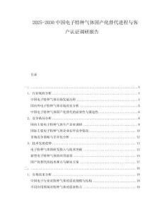 2025-2030中國電子特種氣體國產(chǎn)化替代進(jìn)程與客戶認(rèn)證調(diào)研報告
