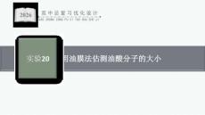 2026年高考總復(fù)習(xí)優(yōu)化設(shè)計一輪復(fù)習(xí)物理（人教版）-實(shí)驗(yàn)20　用油膜法估測油酸分子的大小