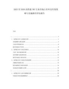 2025至2030高性能IMU行業市場占有率及有效策略與實施路徑評估報告