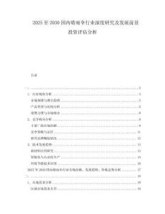 2025至2030國內(nèi)晴雨傘行業(yè)深度研究及發(fā)展前景投資評(píng)估分析