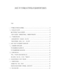 2025年中國耐火纖維氈市場調查研究報告