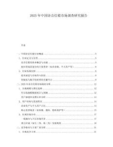 2025年中國語音信箱市場調查研究報告
