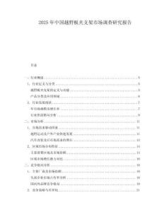 2025年中國越野板夾支架市場調查研究報告