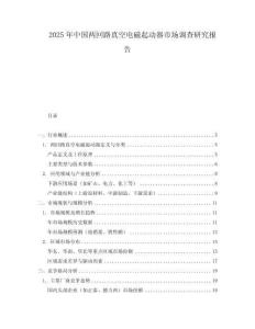 2025年中國兩回路真空電磁起動器市場調查研究報告