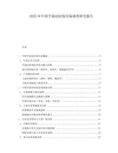2025年中國手制動拉線市場調查研究報告