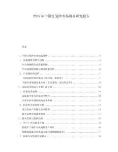 2025年中國燈籠紗市場調查研究報告