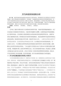 天馬科技財務報表分析
