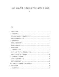 2025-2030年中空式液壓扳手項目投資價值分析報告