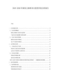 2025-2030年圓角方格框項(xiàng)目投資價值分析報告