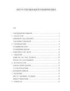 2025年中國汽脹砂鼓砂帶市場調(diào)查研究報告