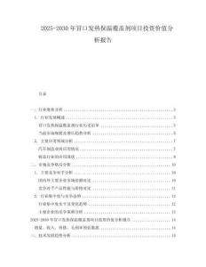 2025-2030年冒口發熱保溫覆蓋劑項目投資價值分析報告
