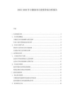 2025-2030年小腳盤項目投資價值分析報告