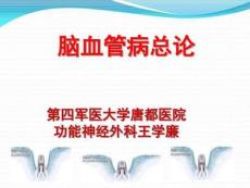 脑血管病总论