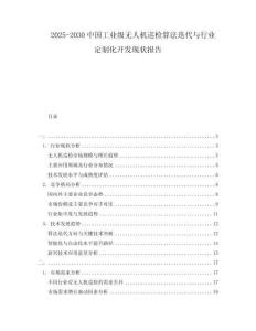 2025-2030中國(guó)工業(yè)級(jí)無(wú)人機(jī)巡檢算法迭代與行業(yè)定制化開(kāi)發(fā)現(xiàn)狀報(bào)告