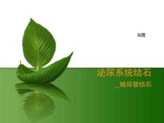 讲课输尿管结石
