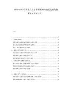 2025-2030中國(guó)電競(jìng)顯示器面板響應(yīng)速度競(jìng)賽與技術(shù)瓶頸突破研究