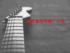 湖畔音樂節(jié)-媒體推廣計劃