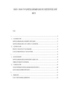 2025-2030年電噴發(fā)動機磁電機項目投資價值分析報告